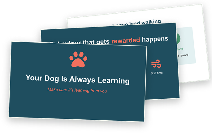 A stack of slides from a talk on dog training, built after Story First found the story